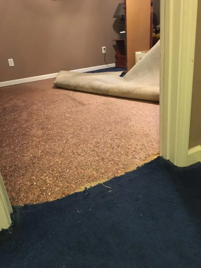 Carpet pad removal revealing water damage during Drying & Dehumidification in Orchard Mesa