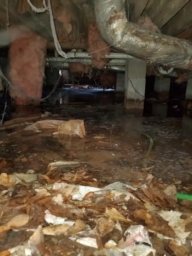 Crawl space flood assessment for Leak Detection & Repair in Orchard Mesa