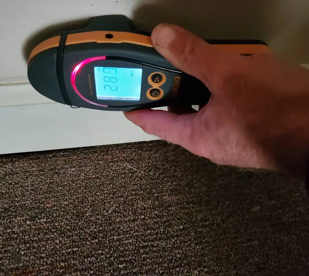 Moisture detection at baseboard during Mold Inspection & Testing in Orchard Mesa